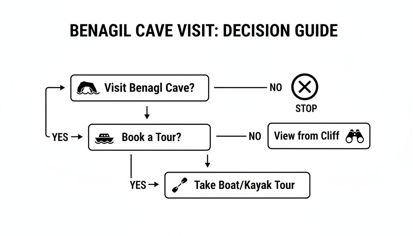 A decision guide flowchart outlining options for visiting the Benagil Cave, including tours or cliff views.
