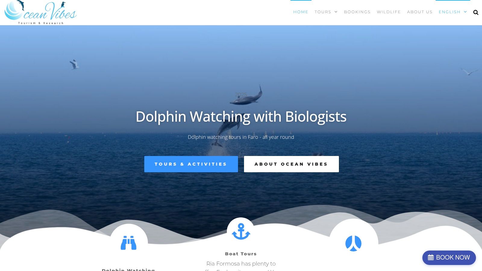 Ocean Vibes Algarve website showing a dolphin watching tour