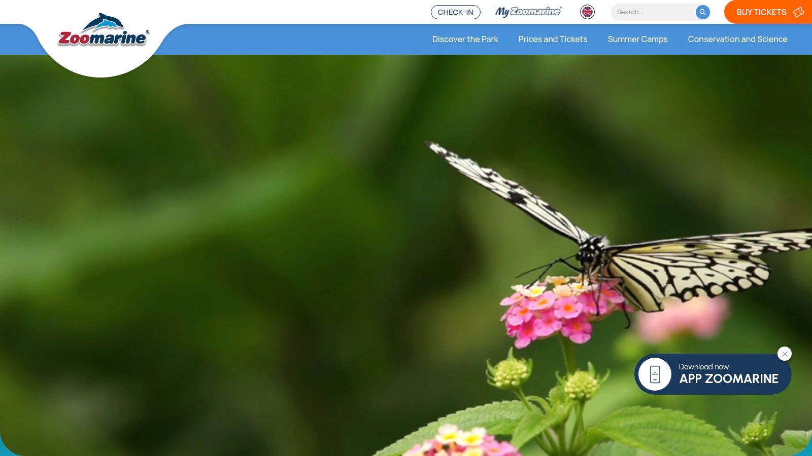Zoomarine Algarve – Official site