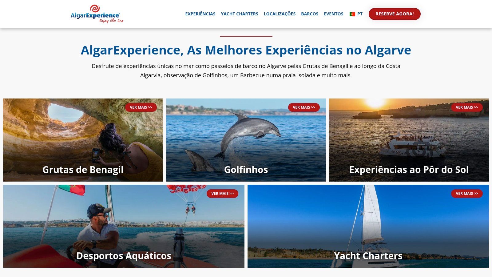 AlgarExperience catamaran and RIB boat at Albufeira Marina