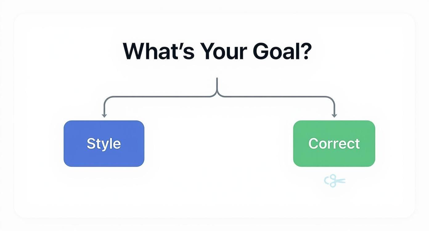 Infographic about big ear hairstyles