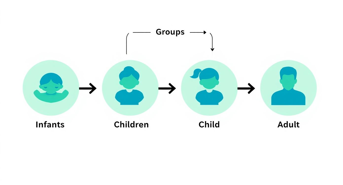 An infographic showing the process flow of using ear correctors for infants, children, and adults.