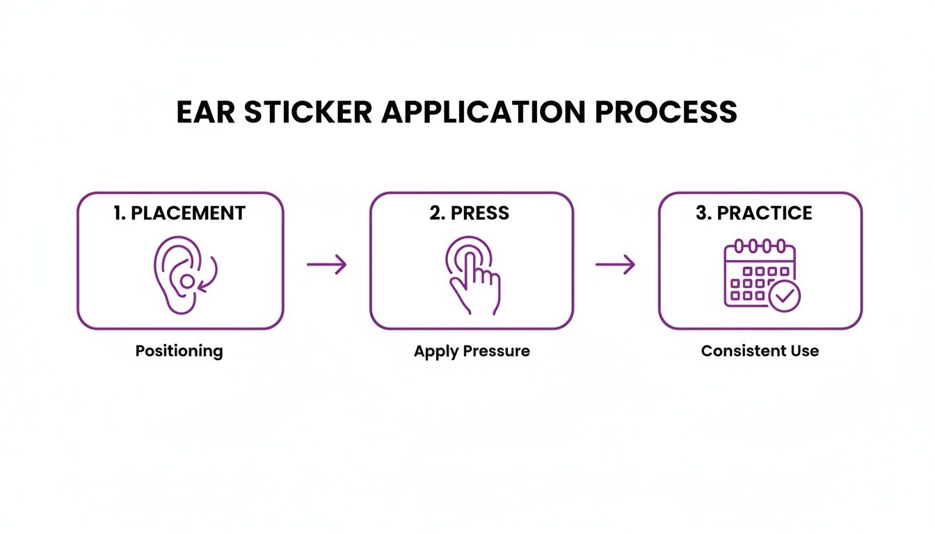 Three-step diagram illustrating the ear sticker application process: Placement, Press, and Practice for consistent use.