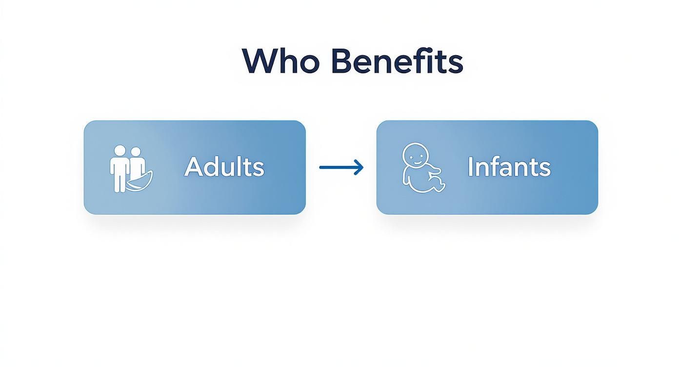 Infographic about otoplastia sin cirugia