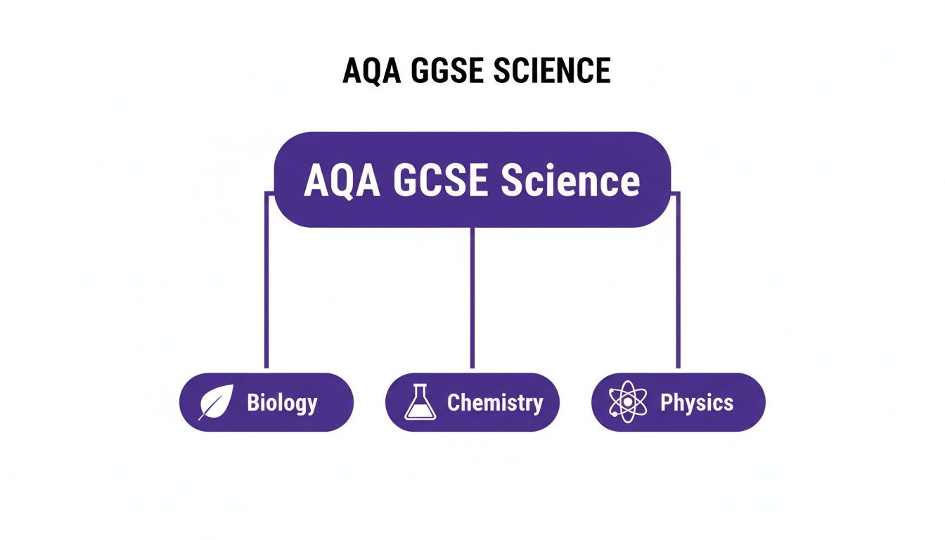 A diagram illustrating the AQA GCSE Science curriculum, split into Biology, Chemistry, and Physics.