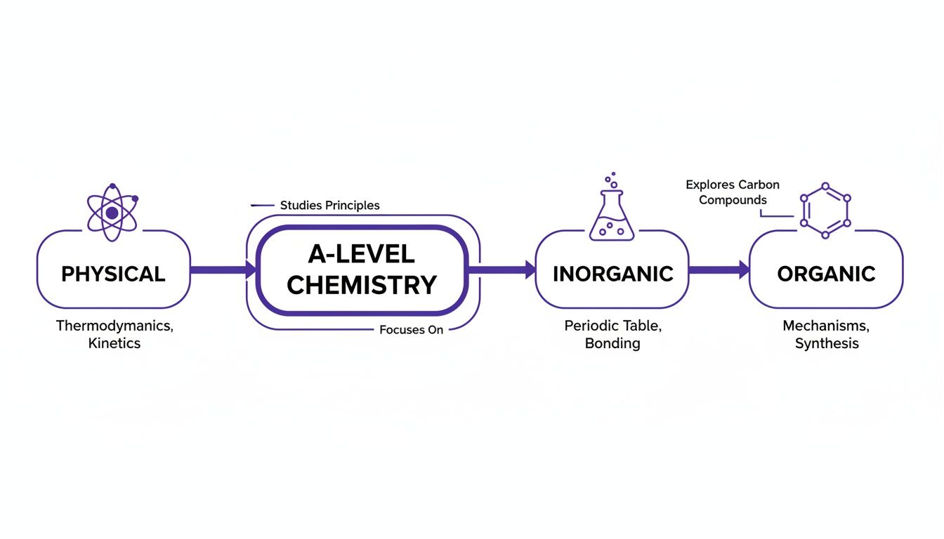 A-Level Chemistry flowchart illustrating Physical, Inorganic, and Organic branches with key topics like Thermodynamics and Carbon Compounds.