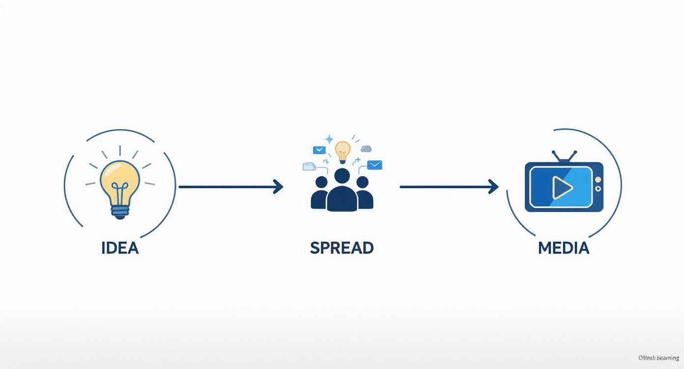 Infographic about frindle