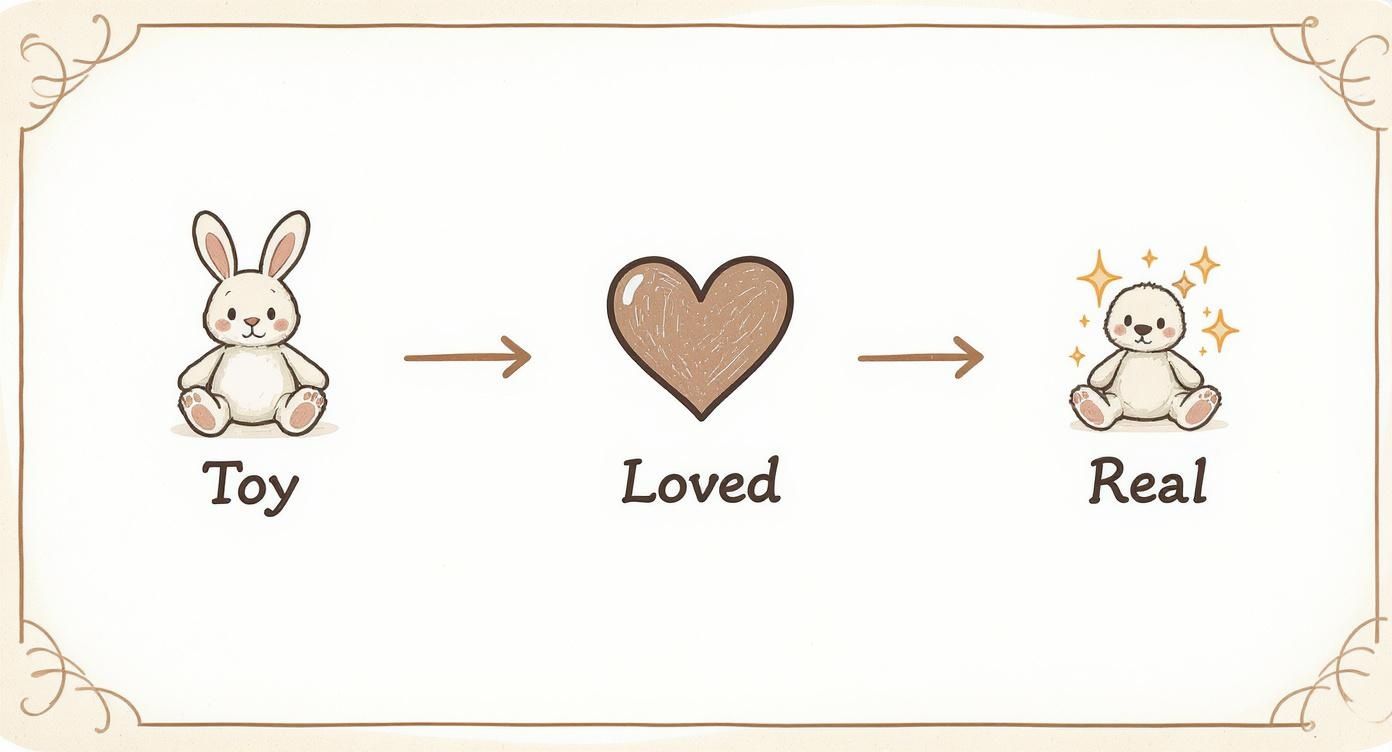 Infographic about the velveteen rabbit