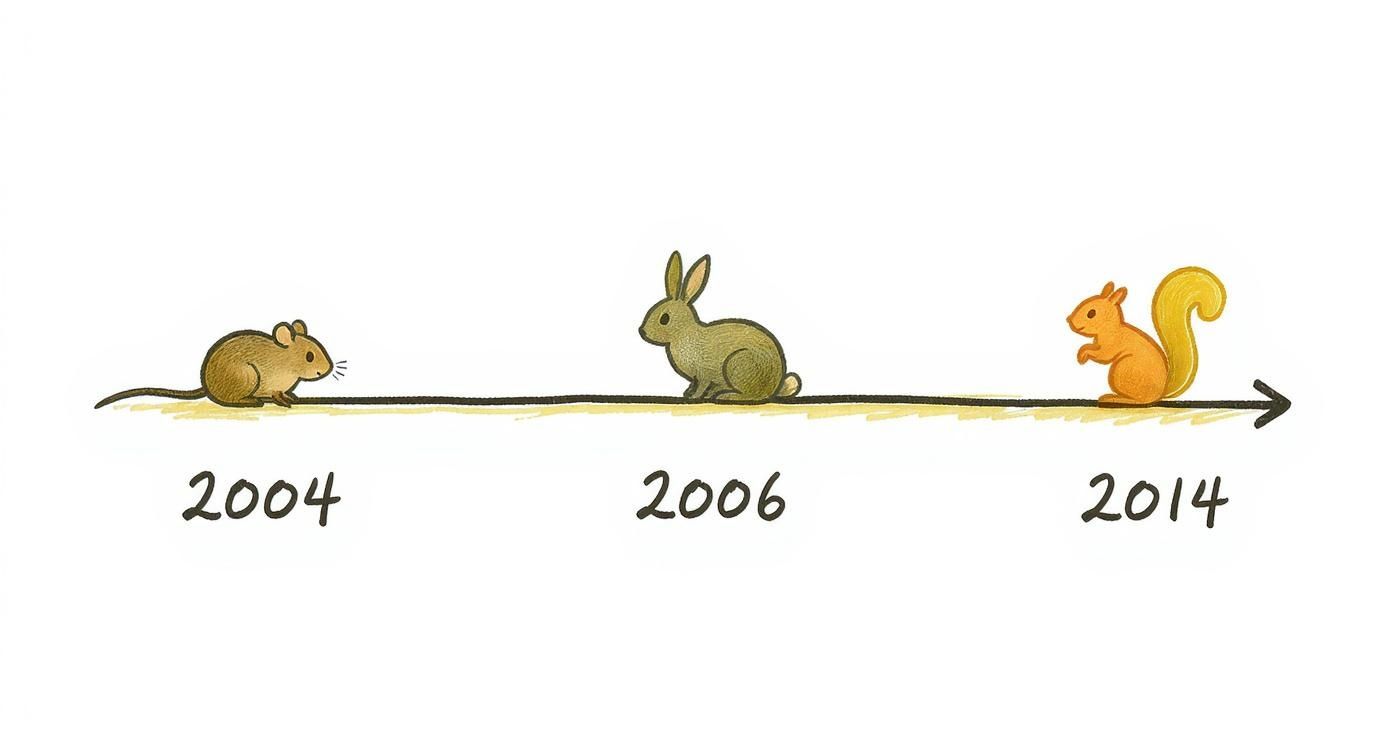 Infographic about the miraculous journey of edward tulane