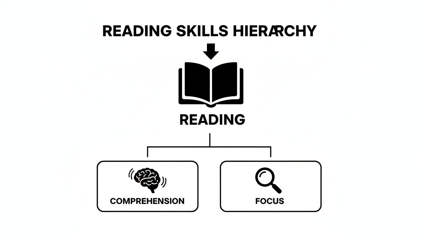 A diagram illustrates the reading skills hierarchy, showing reading branching into comprehension and focus.