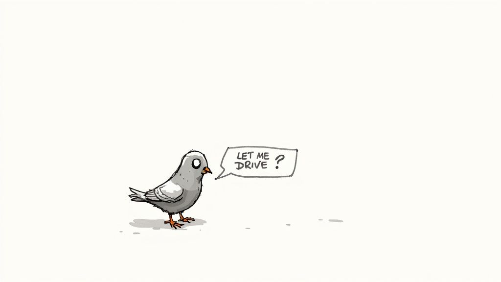 A humorous cartoon pigeon with large eyes asks "LET ME DRIVE ?" in a speech bubble.