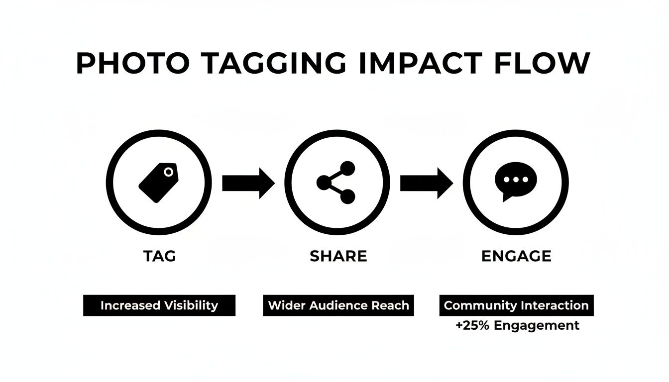 Flowchart illustrating the positive impact of photo tagging on visibility, audience reach, and engagement.