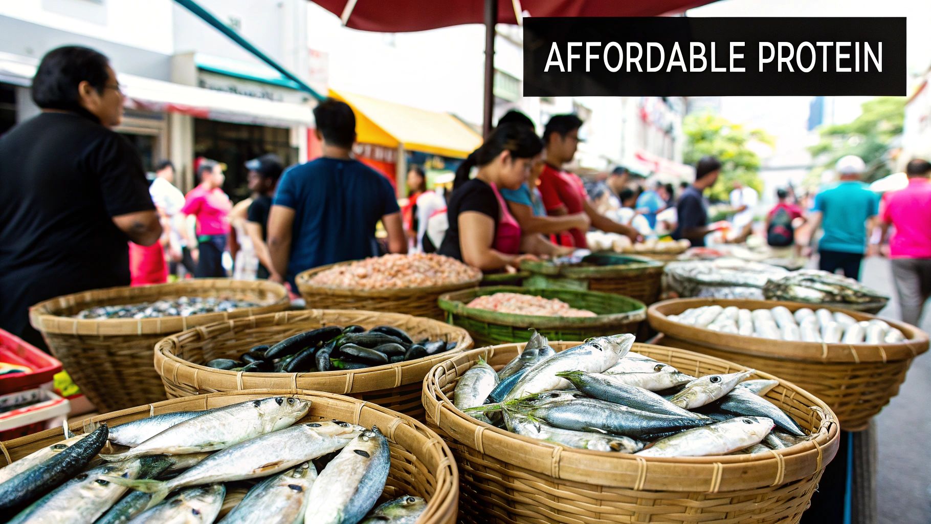 Galunggong (Round Scad - Decapterus macrosoma)