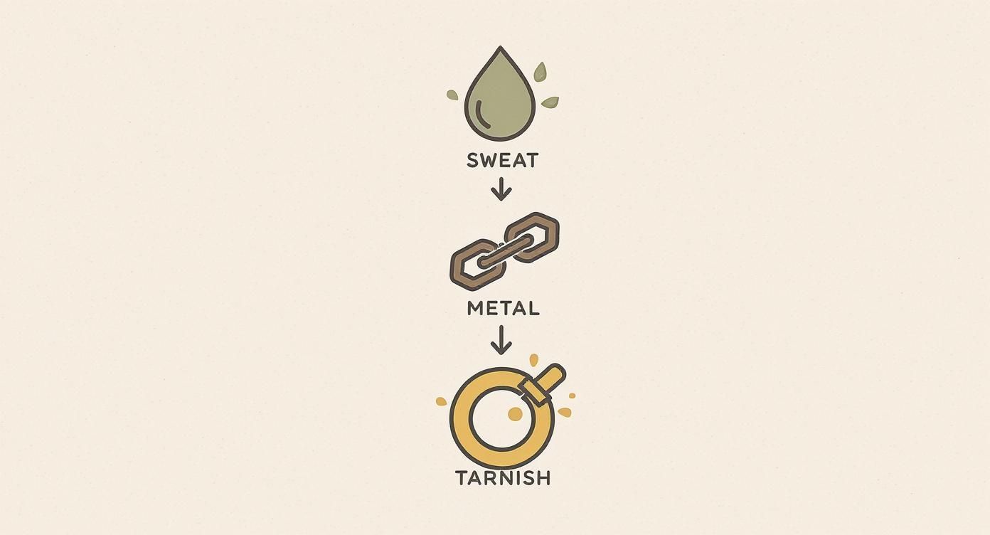 An infographic illustrating how sweat reacts with metal to cause tarnishing.