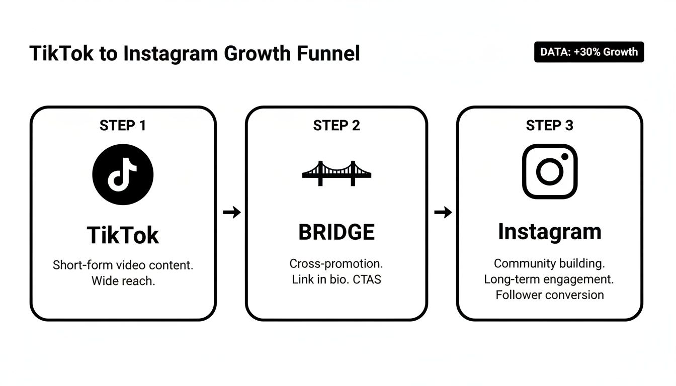 Diagram showing a 3-step growth funnel from TikTok to Instagram for follower conversion.