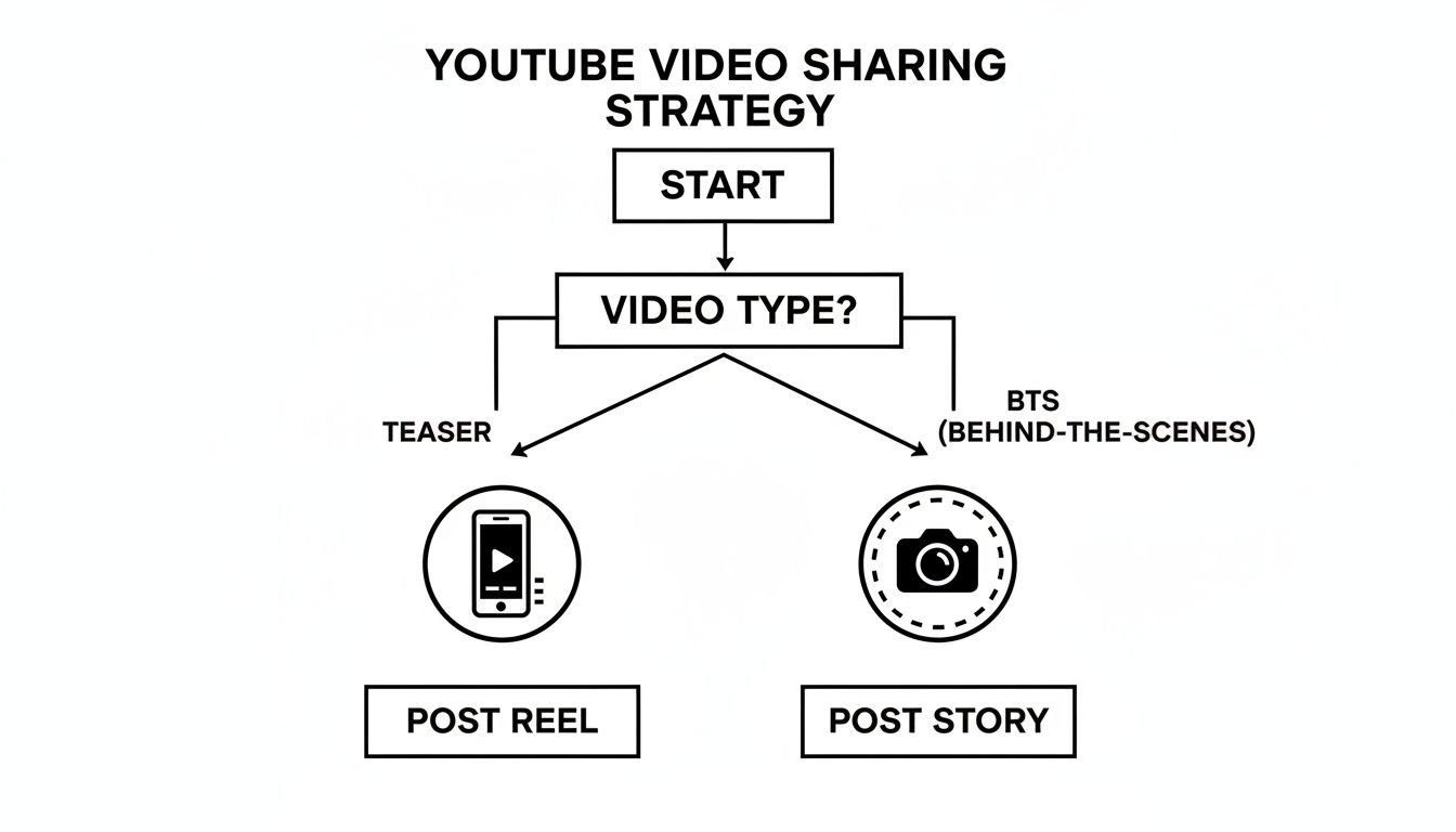 A flowchart illustrates a YouTube video sharing strategy, detailing steps based on video type.