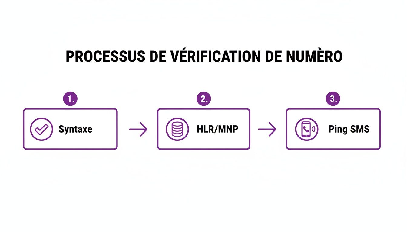Diagramme du processus de vérification d'un numéro de téléphone en 3 étapes: Syntaxe, HLR/MNP, Ping SMS.
