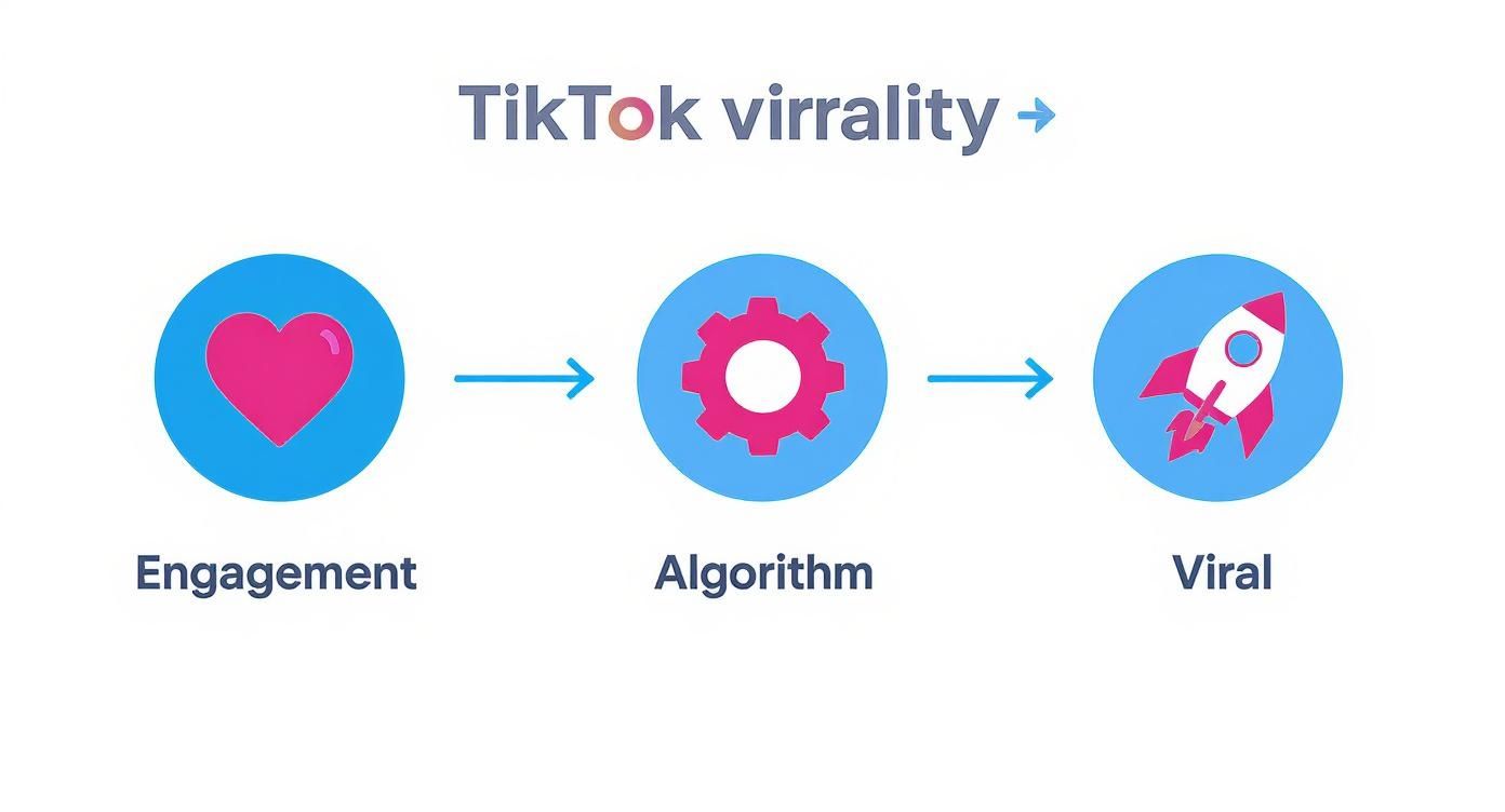 A flow chart illustrating TikTok virality through engagement, the algorithm, and going viral.