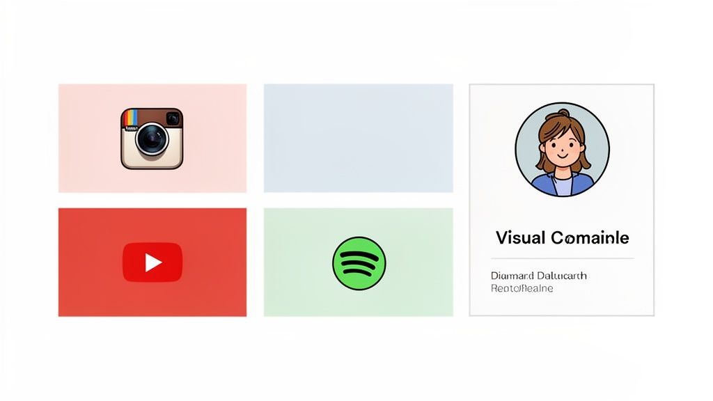 A dashboard displaying Instagram, YouTube, Spotify logos, and a user profile card with an avatar.