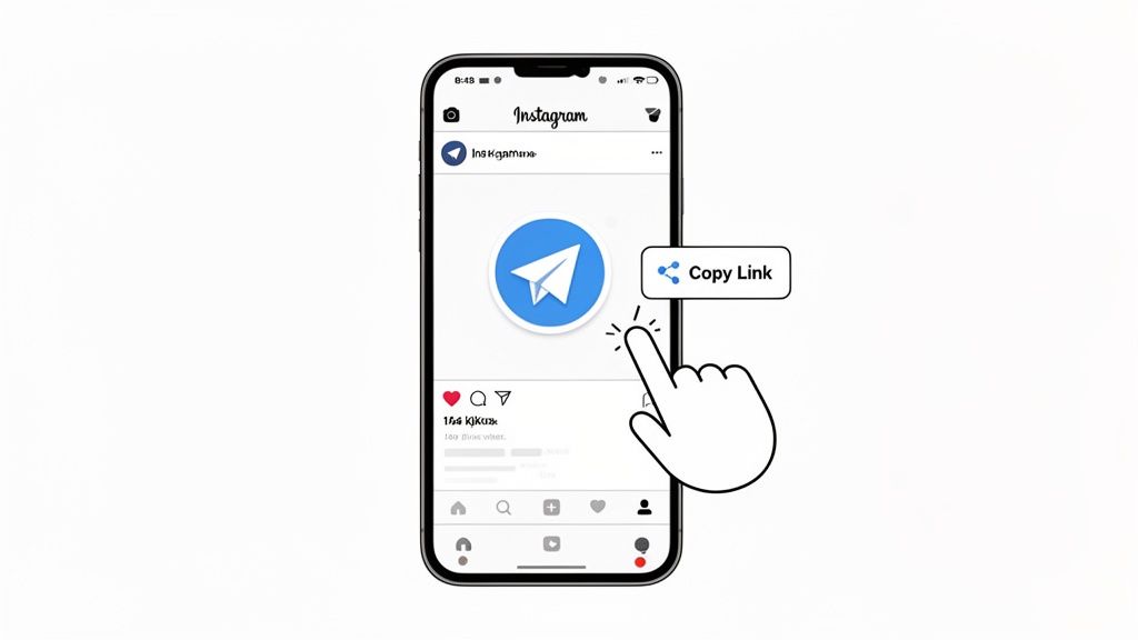 How to Copy My Instagram Link on Any Device - Blog - taap.bio