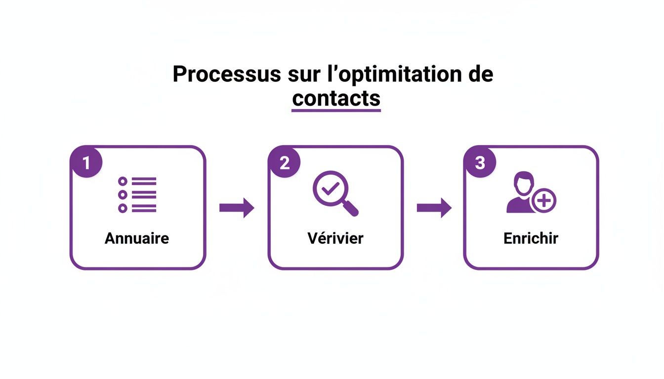 Diagramme illustrant le processus d'optimisation des contacts en trois étapes : annuaire, vérifier, enrichir.