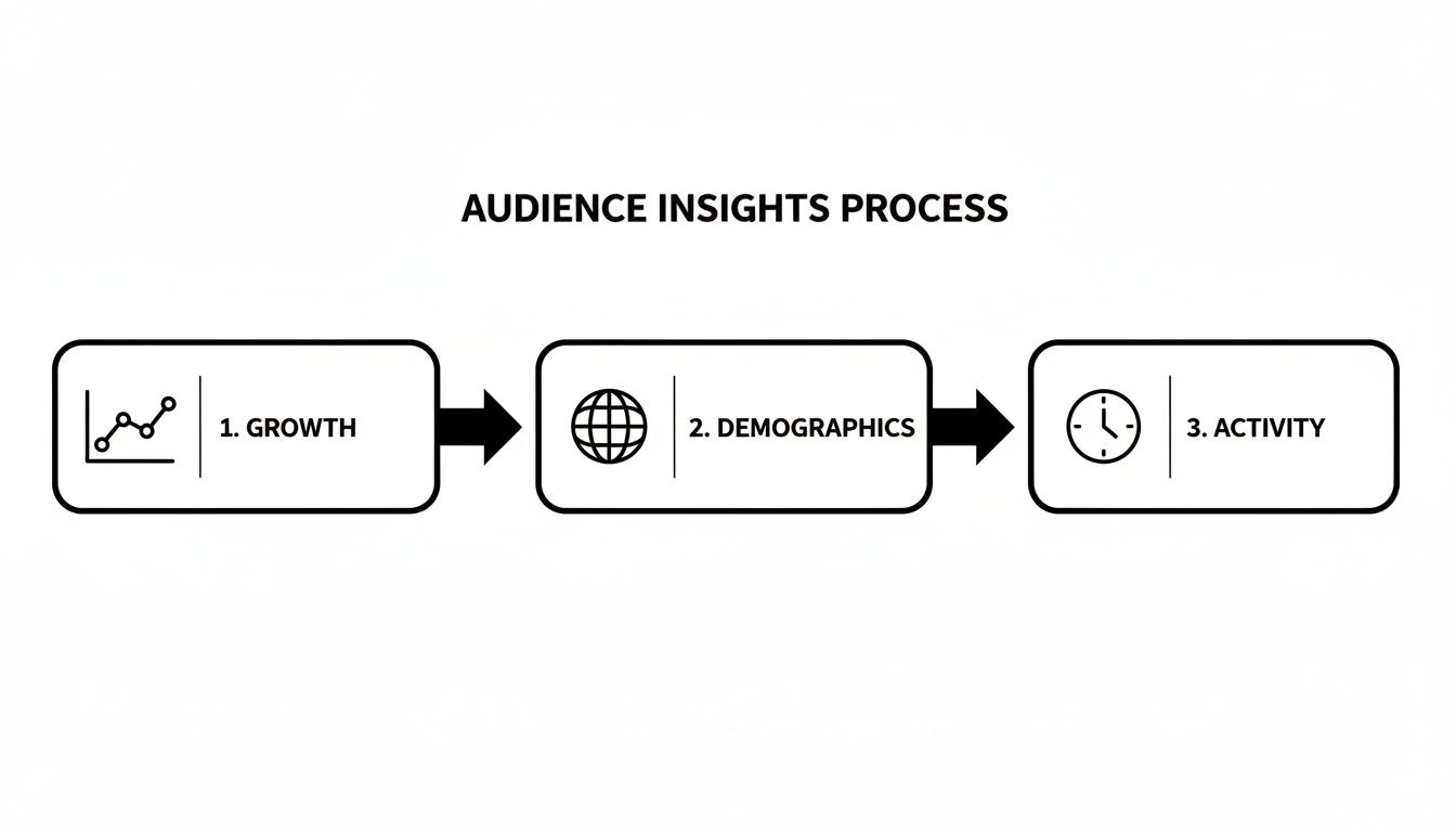 A flowchart titled 'Audience Insights Process' showing three steps: Growth, Demographics, and Activity.