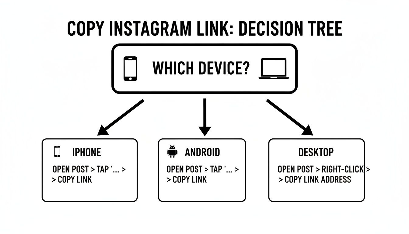 Decision tree showing how to copy an Instagram link on different devices: iPhone, Android, and Desktop.