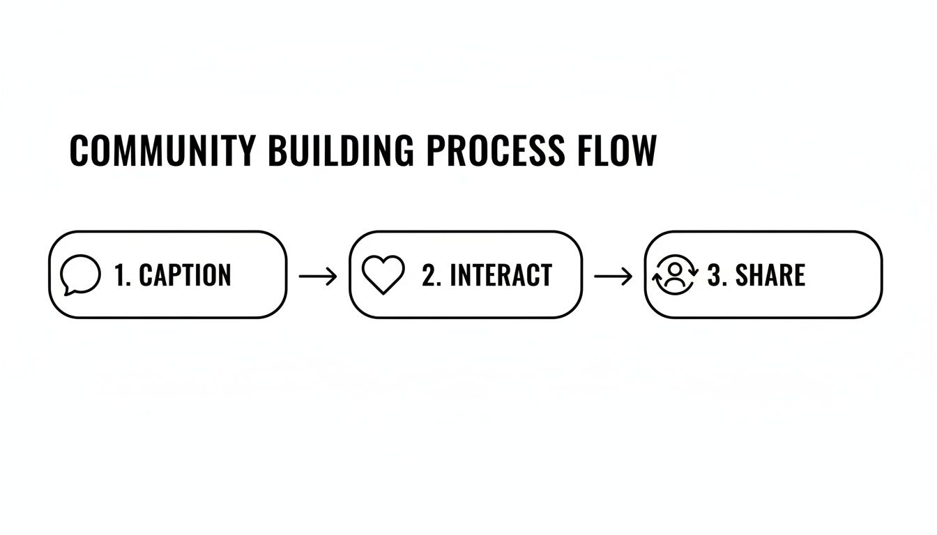 A black and white flow chart showing the community building process: Caption, Interact, Share, with icons.