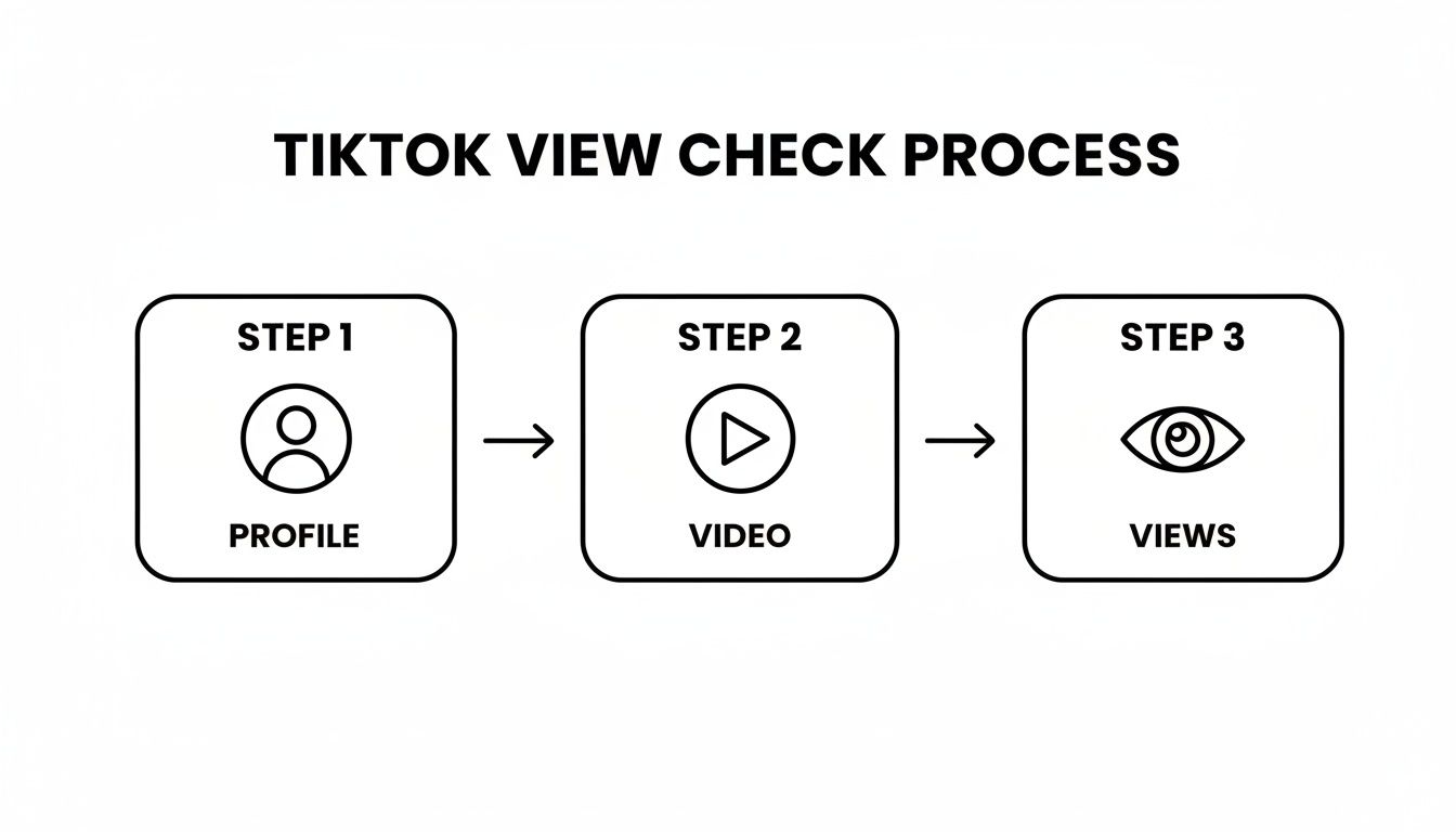 Diagram showing the TikTok view check process: Profile icon, then Video play icon, then Views eye icon.