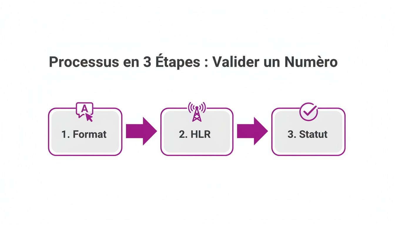 Illustration du processus en 3 étapes pour valider un numéro de téléphone : format, HLR et statut avec icônes.