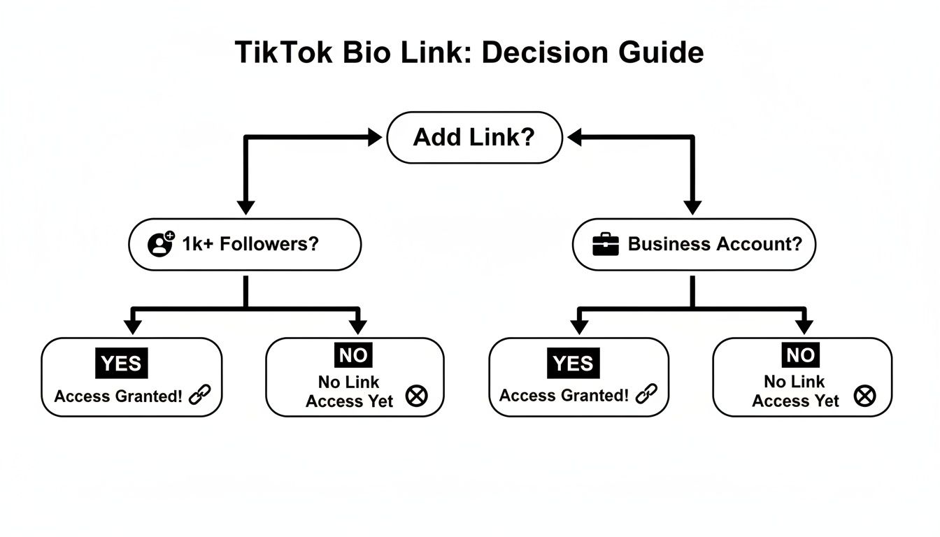 Flowchart illustrating TikTok bio link eligibility, showing criteria like 1k+ followers or a business account for access.