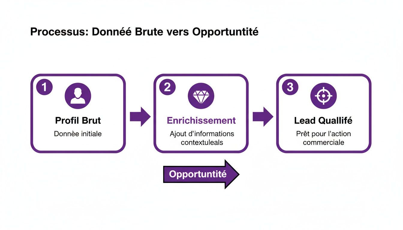 Schéma illustrant le processus de transformation des données brutes en opportunités qualifiées, via l'enrichissement et la qualification des leads.