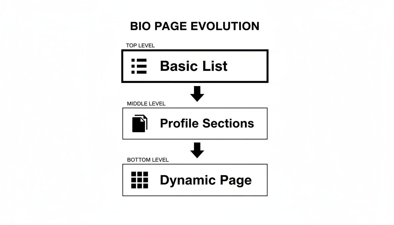 Flowchart illustrating the evolution of a bio page through basic list, profile sections, and dynamic page levels.