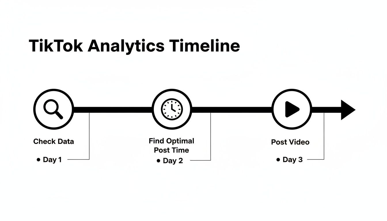 A TikTok analytics timeline showing steps: check data (Day 1), find optimal post time (Day 2), and post video (Day 3).