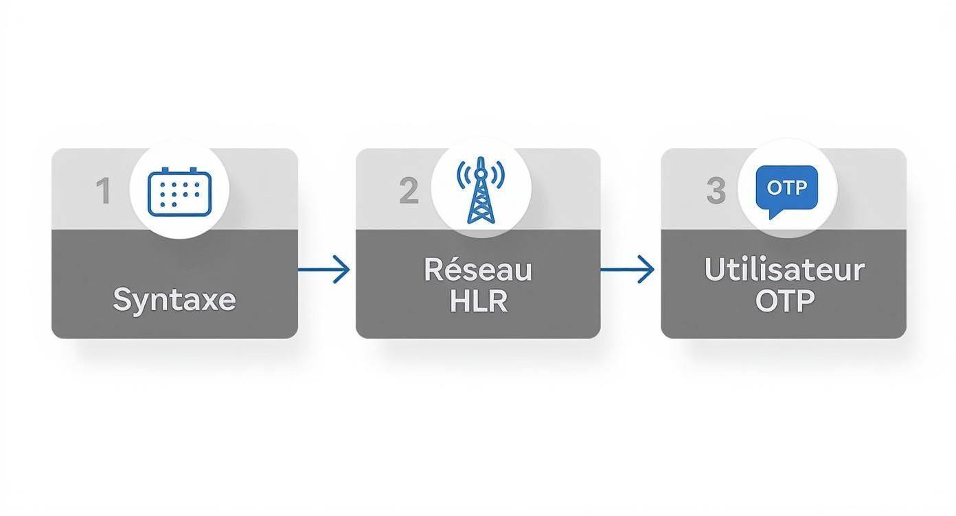 Diagramme d'un processus en 3 étapes : Syntaxe, Réseau HLR, puis Utilisateur OTP pour la vérification.