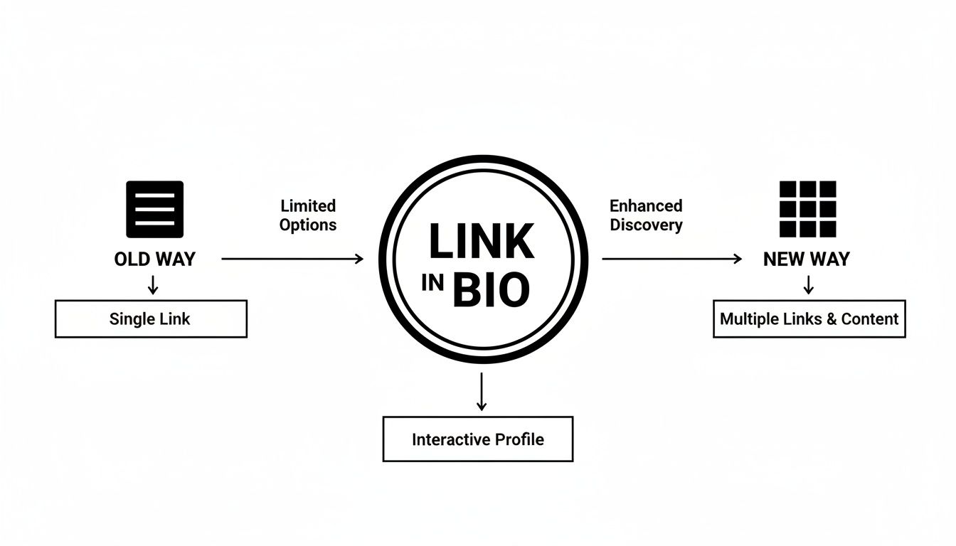 Diagram illustrating the transition from single link 'OLD WAY' to 'NEW WAY' with multiple links and content using 'LINK IN BIO'.