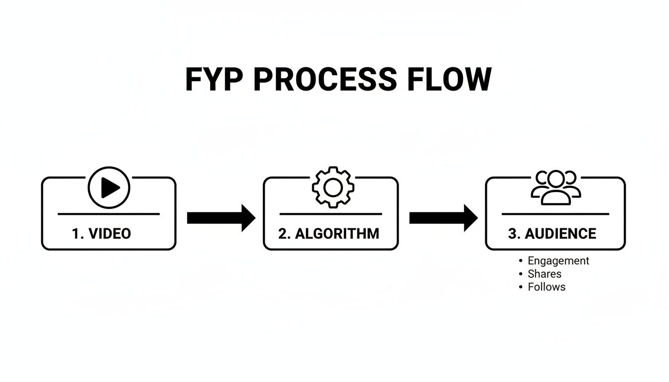FYP process flow diagram showing video, algorithm, and audience engagement, shares, and follows.