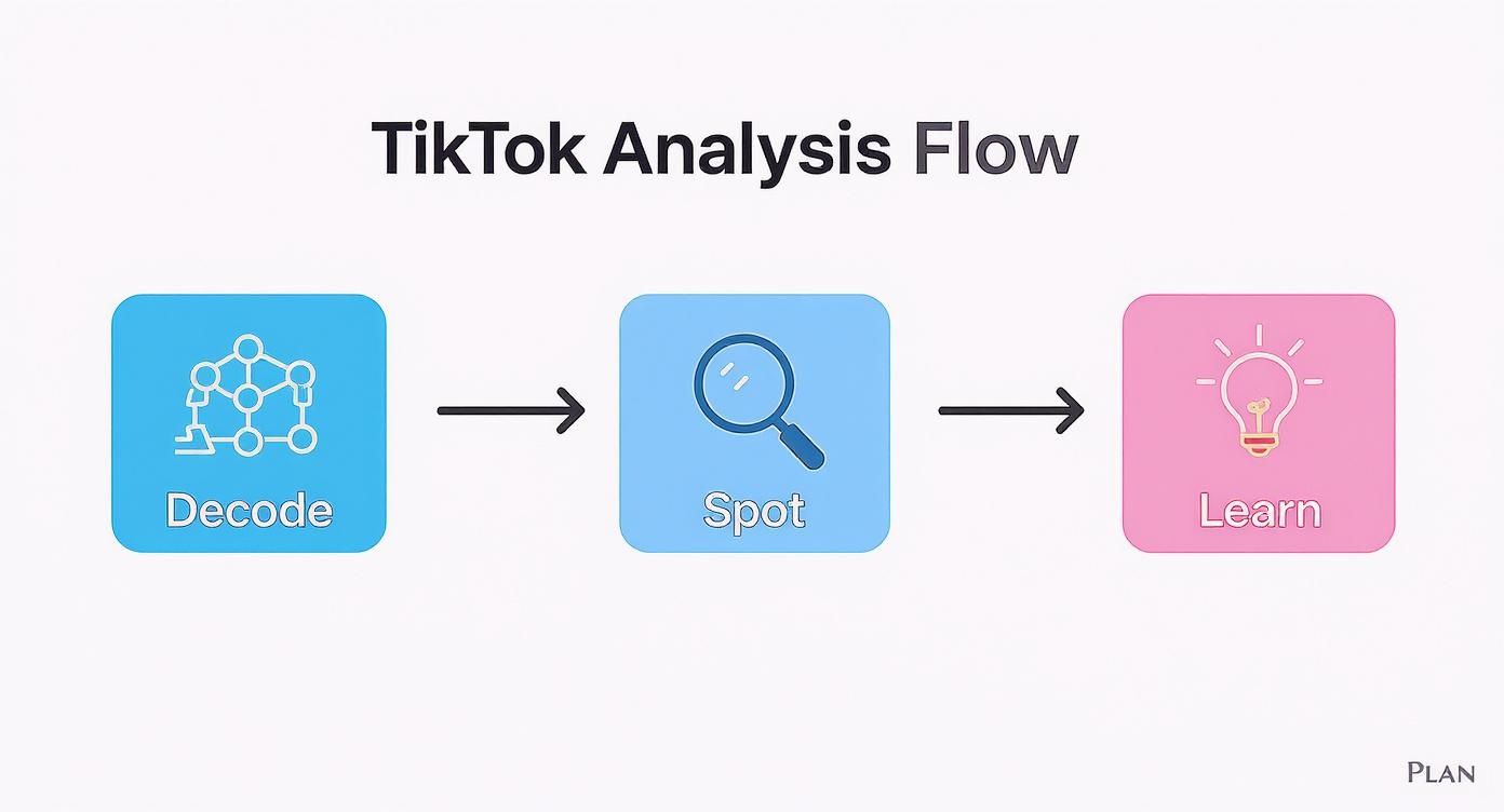 A flowchart illustrates the TikTok analysis flow: Decode, Spot, and Learn, each represented by an icon.