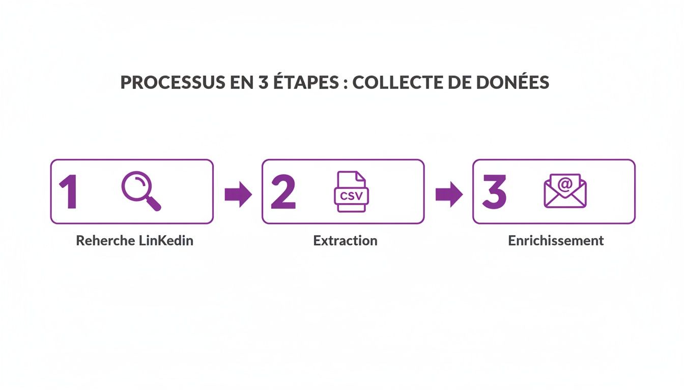 Processus en 3 étapes pour la collecte de données, incluant la recherche LinkedIn, l'extraction de données et l'enrichissement par email.