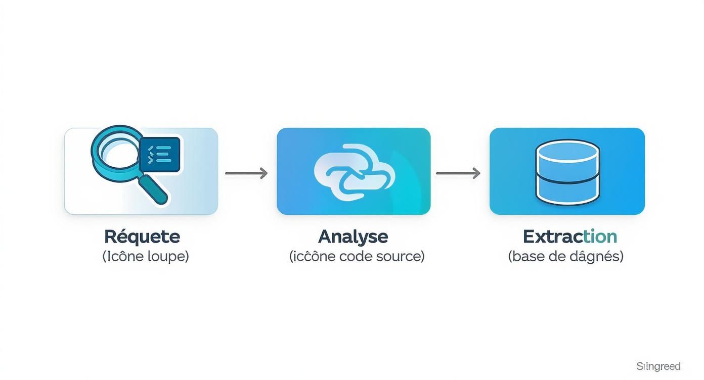 Infographie illustrant les étapes d'un processus de traitement de données: requête (loupe), analyse (code) et extraction (base de données).