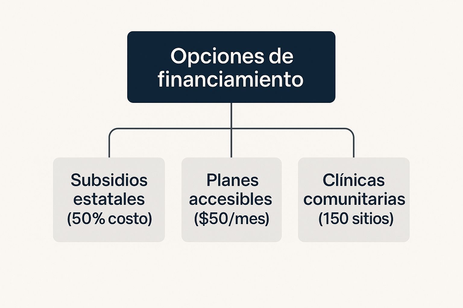 Infográfico sobre opciones de financiamiento para seguro médico para indocumentados, mostrando subsidios estatales, planes accesibles y clínicas comunitarias.
