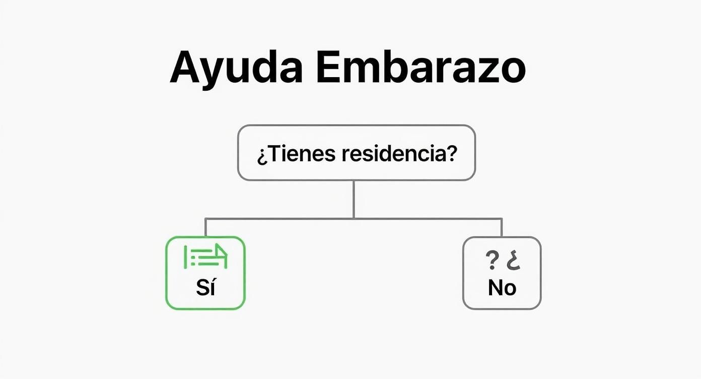 Guía Completa de Ayuda para Mujeres Embarazadas Inmigrantes en EE. UU ...