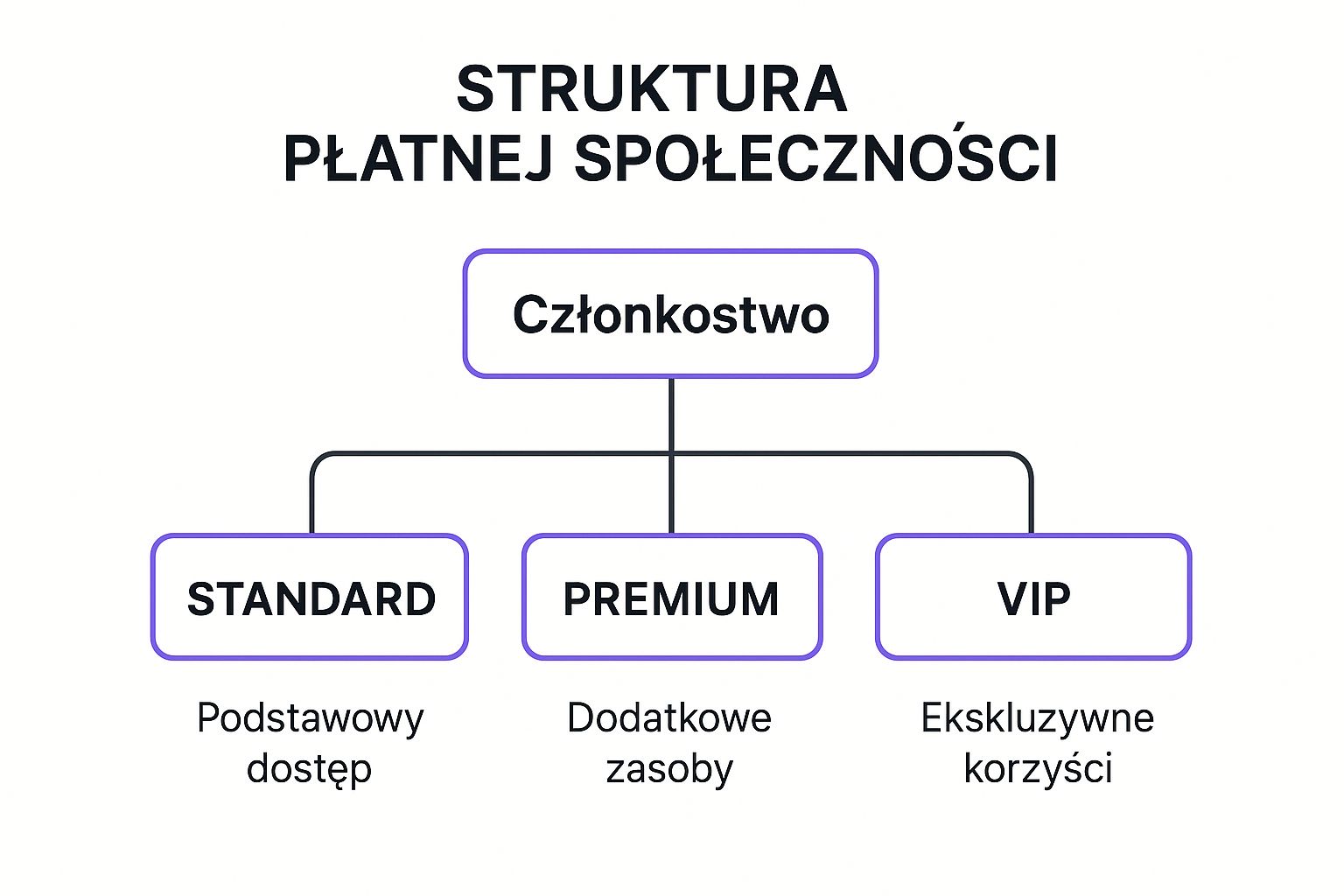 Infographic about płatna społeczność