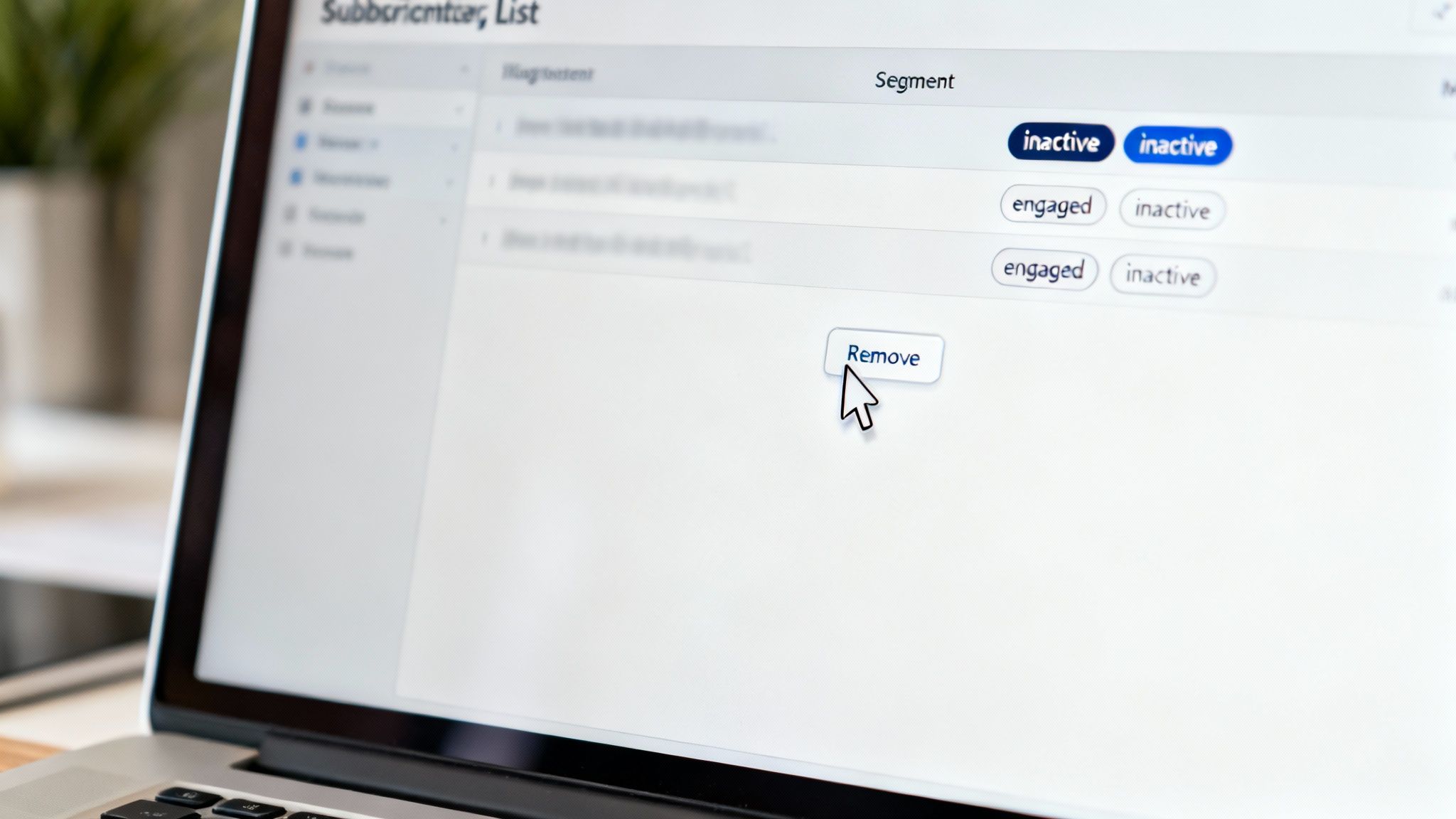 A close-up of a laptop screen displaying an email subscriber list, with a mouse cursor highlighting a 'Remove' button.