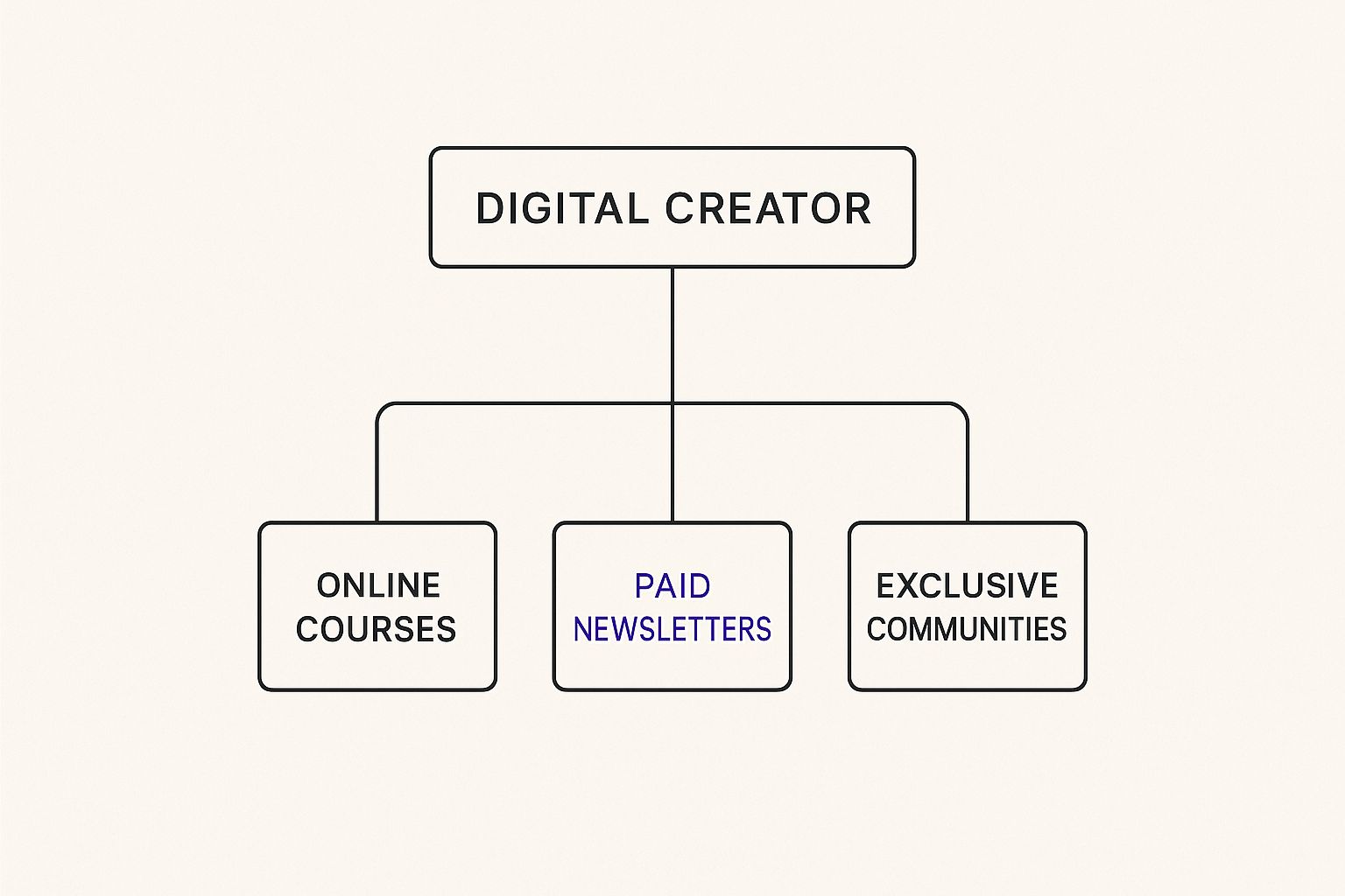 Infographic about what is digital creator