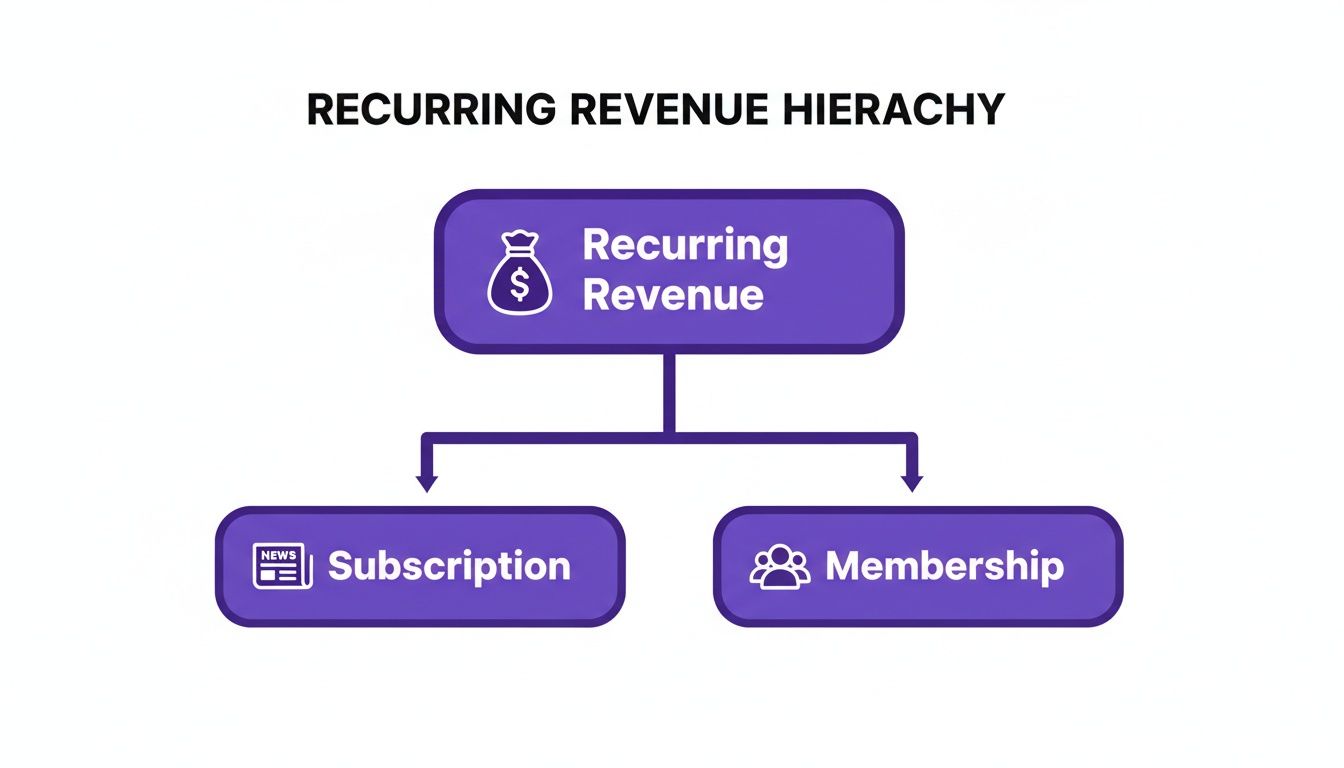 A diagram shows recurring revenue hierarchy, splitting into subscription and membership models.