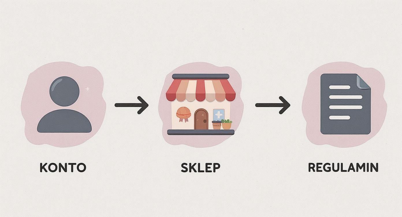 Infographic about jak sprzedawać na instagramie