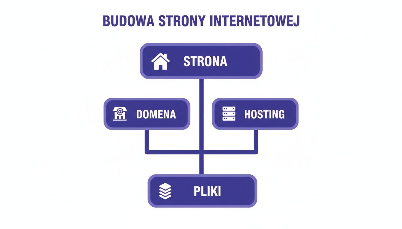 Diagram przedstawiający budowę strony internetowej, z elementami takimi jak strona, domena, hosting i pliki.