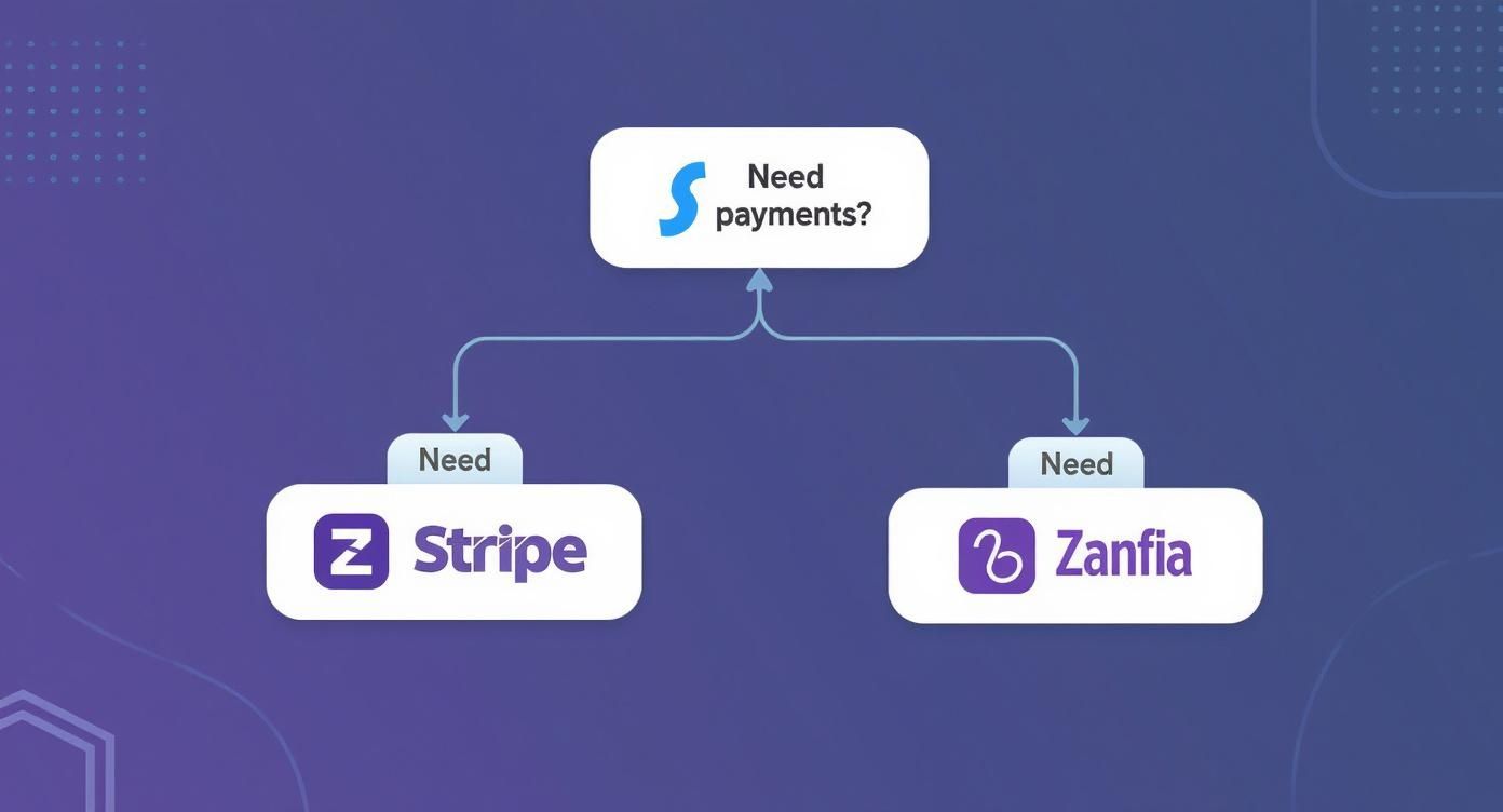 Schemat wyboru dostawcy płatności: Stripe lub Zanfia, odpowiadający na pytanie „Potrzebujesz płatności?”.