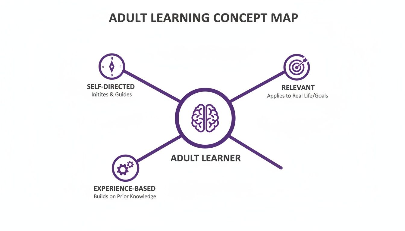 Adult learning concept map illustrating characteristics: self-directed, relevant, and experience-based with icons.